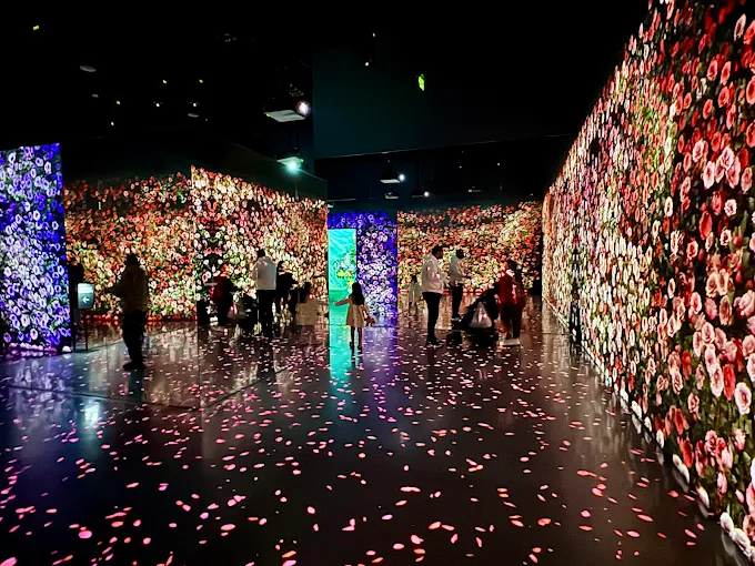 ARTE Museum immersive digital art in Las Vegas