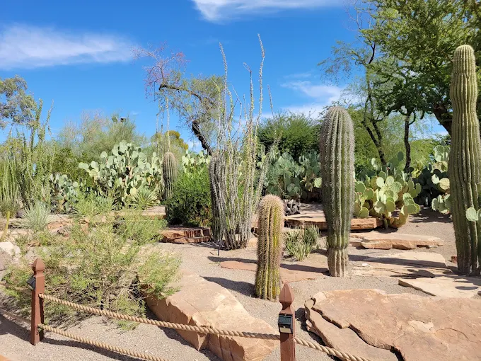 Ethel M Botanical Cactus Garden in Las Vegas