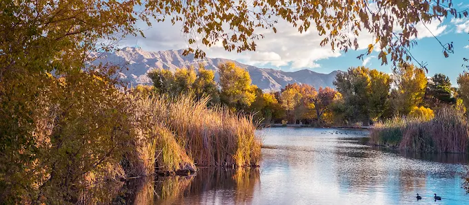 Floyd Lamb Park pond in Las Vegas