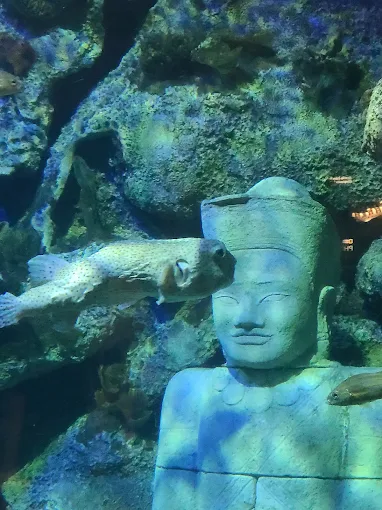 Shark Reef Aquarium at Mandalay Bay in Las Vegas