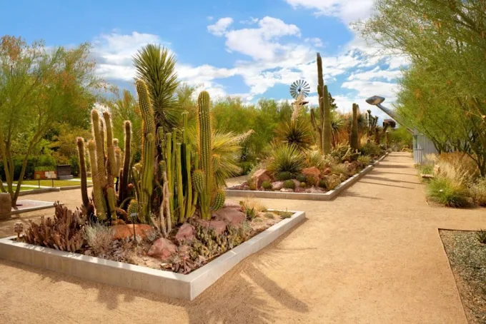 Desert garden at Springs Preserve